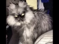 On the 10th Day, Satan Created the Cat