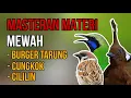 Download Lagu MASTERAN MEWAH YANG DI SUKAI JURI💥 AUTO DI LIRIK TERUS👀‼️