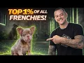Isabella Fluffy Frenchies What Makes This Combination So Exclusive