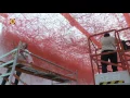 Download Lagu De Japanse kunstenares Chiharu Shiota bouwt een installatie van 2000 bolletjes rode wol voor het ...