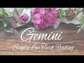 GEMINI SINGLES - It s all about me or I m not interested Leave your baggage at the door