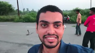 Cobra Snake दिख गया 😱 Herbal Park गए और घर में Cats की लड़ाई हो गई!