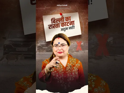 बिल्ली रास्ता काटे तो आगे बढ़ें या रुकें? क्या करना होगा आपके लिए सही! Aditya Kundli