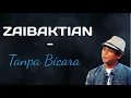 Tanpa Bicara Lirik Video