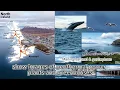 Iceland by Cruise Ship Unveiling the Land of Fire and Ice