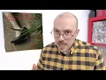 Iceage - For Love of Grace & the Hereafter ALBUM REVIEW