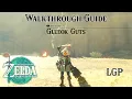 Tears Of The Kingdom Gleeok Guts - Side Quest Walkthrough Guide