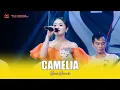 Download Lagu CAMELIA - HASNI NIRMALA - OM SAVANA SAKJOSE - THE WEDDING ( ANGGRY \u0026 EDO )