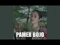Download Lagu Pamer Bojo
