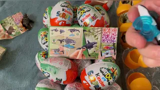 kinder surprise natoons 2021 full collection