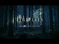 "Fireflies" by Michele McLaughlin™ ©2022 (Official Video)
