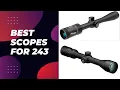 5 Best Scopes for 243 Rifle