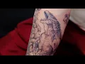 Godzilla vs Biollante II