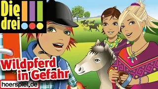 die drei folge 55 wildpferd in gefahr