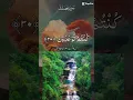 Download Lagu Surah Fussilat with translation
