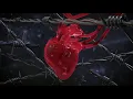 Beyazz - ALLES GEHT VORBEI (Official Video) [prod. by Baranov]