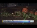 More Storm Damage in Columbus MS