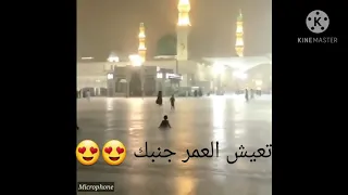 شوفت ياما ماهر زين حالة واتس اب دينية  شوفت ياما ماهر زين حالة واتس اب دينية