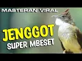 Download Lagu MASTERAN CUCAK JENGGOT GACOR BESET TAJAM