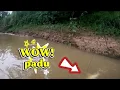 Download Lagu Ada rezeki baung kuning kasar