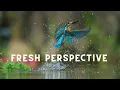 Fresh Perspective – By Megan Wofford - Enjoyable Relaxation Music