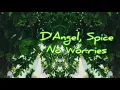 No Worries -D'angel and Spice