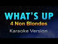 Download Lagu WHAT'S UP - 4 Non Blondes (HD KARAOKE)