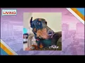 Simply Diego s donates 2 000 to High Desert Doberman Rescue
