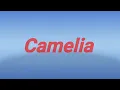 Download Lagu Lirik Lagu Dangdut Camelia