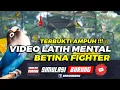Download Lagu TERBUKTI AMPUH LATIH MENTAL LB | SIMULASI LOMBA LOVEBIRD BETINA FIGHTER