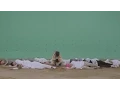 Download Lagu [Special Video] SEVENTEEN(세븐틴) - 아낀다(Adore U) - Dance + Mashup Ver.