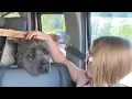 Tractor Supply Vet Clinic
