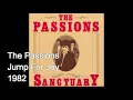 The Passions - Jump For Joy (1982)