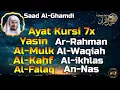 Download Lagu Ayat Kursi 7x, Surah Yasin, Ar Rahman, Al Waqiah, Mulk, Al Kahf, ikhlas,falaq,An Nas, Saad Al Ghamdi