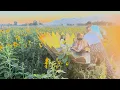 Walking through the Cornbelly s Sunflower Festival