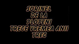 Download SORINEL DE LA PLOPENI    TRECE VREMEA ANI TREC MP3