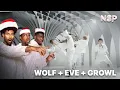 Download Lagu EXO 엑소 '늑대와 미녀 (Wolf)' MV + The Eve' Dance Practice + ‘Growl' Dance Practice | Reaction!!!