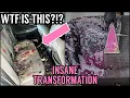 Deep Cleaning The NASTIEST REPO Car Ever Insanely Satisfying Car Detailing Transformation How To