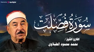 صوت يملأ الكون سكينة سورة فصلت بصوت الشيخ محمد محمود الطبلاوي بث مباشر 