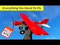 Lagu Mini Maule RTF RC Plane Kit for Beginners - QIDI 560 Review
