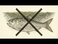 APES Unit 8 The Autopsy of a Dead Zone What Really Killed This Ecosystem