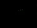 TIME MACHINE RAVE - Ep. 1302 - The Wheel of Haunted House (Music!) 👻🎃 - 90s House \u0026 Techno