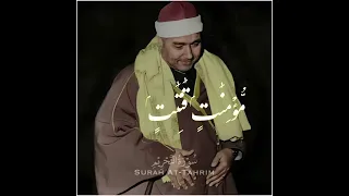 مسلمات مؤمنات الشيخ مصطفى إسماعيل رحمه الله 