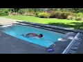 SwimEx 500 S Swim Spa Pool