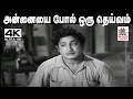 Download Lagu Annaiyai Pol Oru Deivam Song TMS பாடிய பாடல் அன்னையை போல் ஒரு தெய்வம் இல்லை