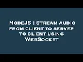 NodeJS Stream from client to server to client using WebSocket