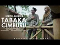 Download Lagu Lagu Minang Terbaru 2025 - Tabaka Cimburu - Efrito Aldrick (Official Music Video)