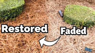 EASILY make your PINE STRAW MULCH look BRAND NEW