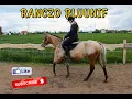 Download Lagu ZAJEŻDZANIE FIKI
