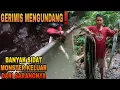 Download Lagu EMANG TERBUKTI SETIAP ADA HUJAN BANYAK SIDAT MONSTER YANG KELUAR‼️AUTO PANEN SIDAT MONSTER BIG EEL